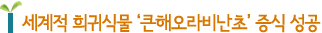 세계적 희귀식물 '큰해오라비난초' 증식 성공