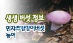 생생 버섯 정보. 민자주방망이버섯능이