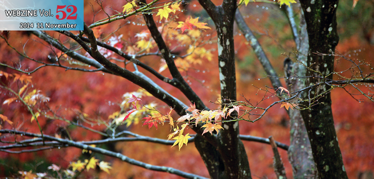 2014.11 November VOL.52 WEBZINE