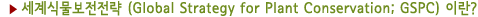 ▶ 세계식물보전전략 (Global Strategy for Plant Conservation; GSPC) 이란?