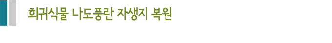 희귀식물 나도풍란 자생지 복원