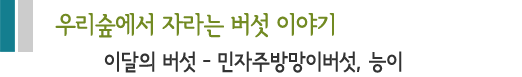 우리숲에서 자라는 버섯 이야기.민자주방망이버섯, 능이