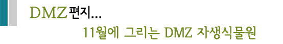 DMZ 편지...11월에 그리는 DMZ 자생식물원