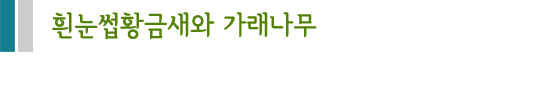 흰눈썹황금새와 가래나무