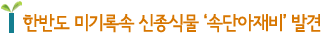 한반도 미기록속 신종식물 '속단아재비' 발견 