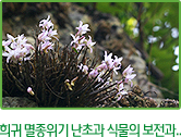 희귀 멸종위기 난초과 식물의 보전과.. 