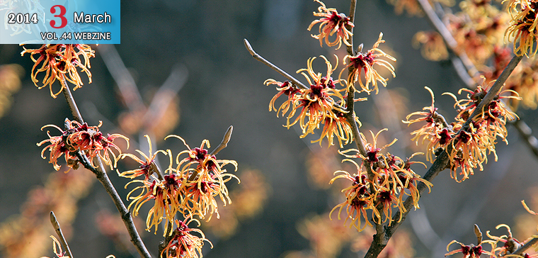 2014.3 March VOL.44 WEBZINE