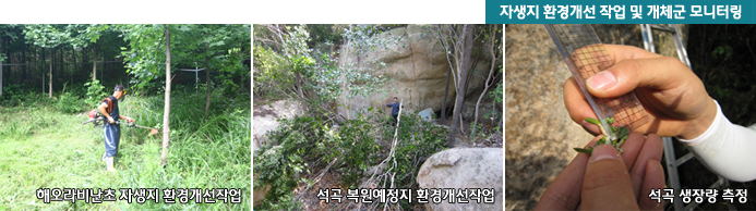 자생지 환경개선 작업 및 개체군 모니터링 , 해오라비난초 자생지 환경개선작업 , 석곡 복원예정지 환경개선작업, 석곡 생장량 측정