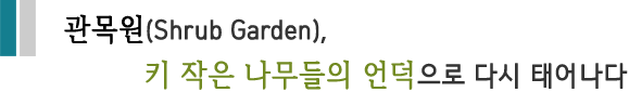 관목원(Shrub Garden), 키 작은 나무들의 언덕으로 다시 태어나다.