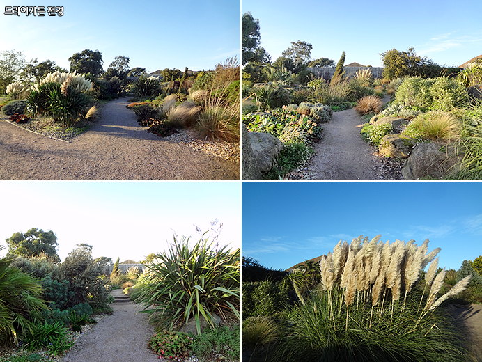 드라이가든 전경