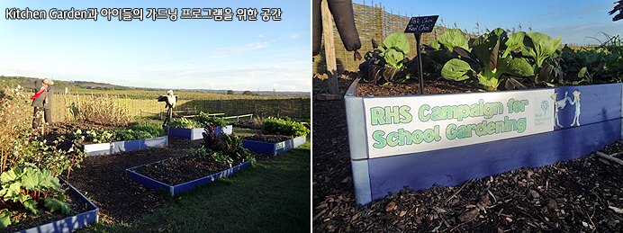 Kitchen Garden과 아이들의 가드닝 프로그램을 위한 공간 