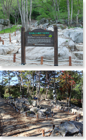 국·공립 수목원 이미지