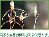 제주 상효동 한란 자생지 환경 및 식생..