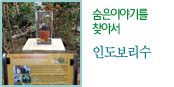숨은이야기를  찾아서 인도보리수