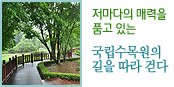 저마다의 매력을 품고 있는 국립수목원의
길을 따라 걷다
