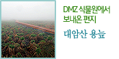 DMZ 식물원에서 보내온 편지 대암산 용늪