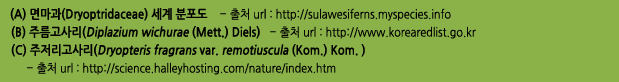 (A) 면마과(Dryoptridaceae) 세계 분포도- 출처 url : http://sulawesiferns.myspecies.info
(B) 주름고사리(Diplazium wichurae (Mett.) Diels)- 출처 url : http://www.korearedlist.go.kr
(C) 주저리고사리(Dryopteris fragrans var. remotiuscula (Kom.) Kom. )- 출처 url : http://science.halleyhosting.com/nature/index.htm