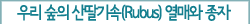 우리 숲의 산딸기속(Rubus) 열매와 종자