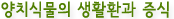 양치식물의 생활환과 증식 