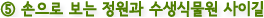 ⑤ 손으로 보는 정원과 수생식물원 사이길