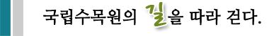 국립수목원의 길을 따라 걷다.