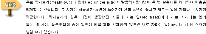 [병해충]주로 깍지벌레(mealy-bug)나 응애(red spider mite)가 발생하지만 1년에 두 번 살충제를 처리하여 해충을 방제할 수 있습니다. 그 시기는 식물체가 휴면에 들어가기 전과 휴면이 끝나고 새로운 잎이 자라나는 시기가 적당합니다. 깍지벌레의 경우 이전에 생장했던 시들어 가는 잎(old head)이나 새로 자라나는 잎의 틈(cleft)사이, 꽃봉오리에 숨어 있으며 이를 제때 방제하지 않으면 새로 자라는 잎(new head)에 상처가 생길 수가 있습니다. 