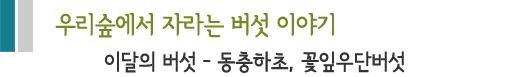 우리숲에서 자라는 버섯 이야기.이달의 버섯 - 동충하초, 꽃잎우단버섯