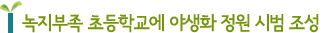 녹지부족 초등학교에 야생화 정원 시범 조성