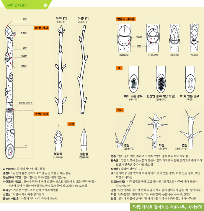 용어 알아보기