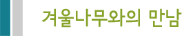 겨울나무와의 만남