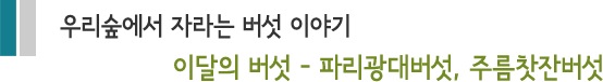 우리숲에서 자라는 버섯 이야기, 이달의 버섯 - 파리광대버섯, 주름찾잔버섯