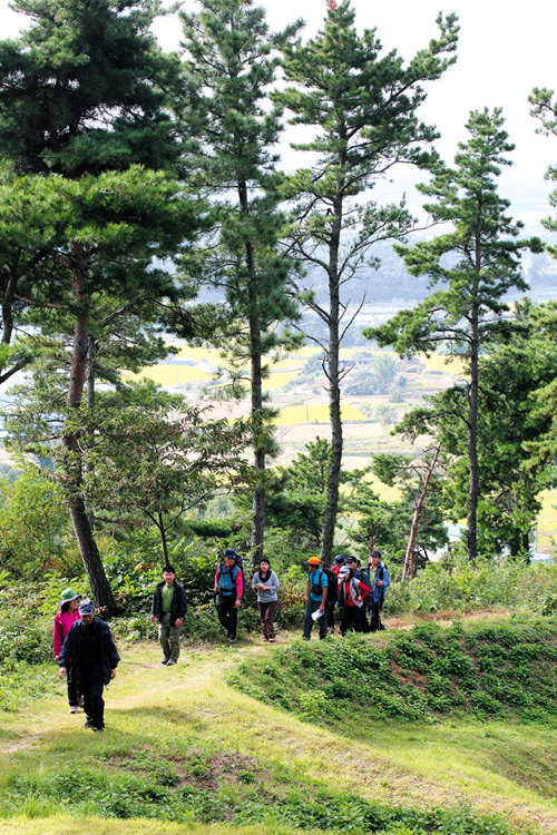 산림청 > 휴양·문화·복지 > 우리 산/숲길 > 우리 산 찾기 > >노성산 [백제의 숨결이 담긴 순한 산] > 기본정보