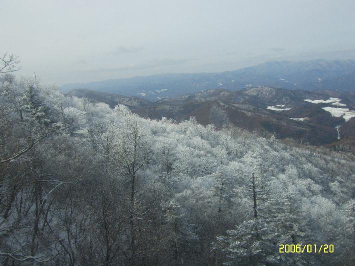 산림청 > 휴양복지 > 우리 산/숲길 > 우리 산 찾기 > >동대산 [] > 기본정보