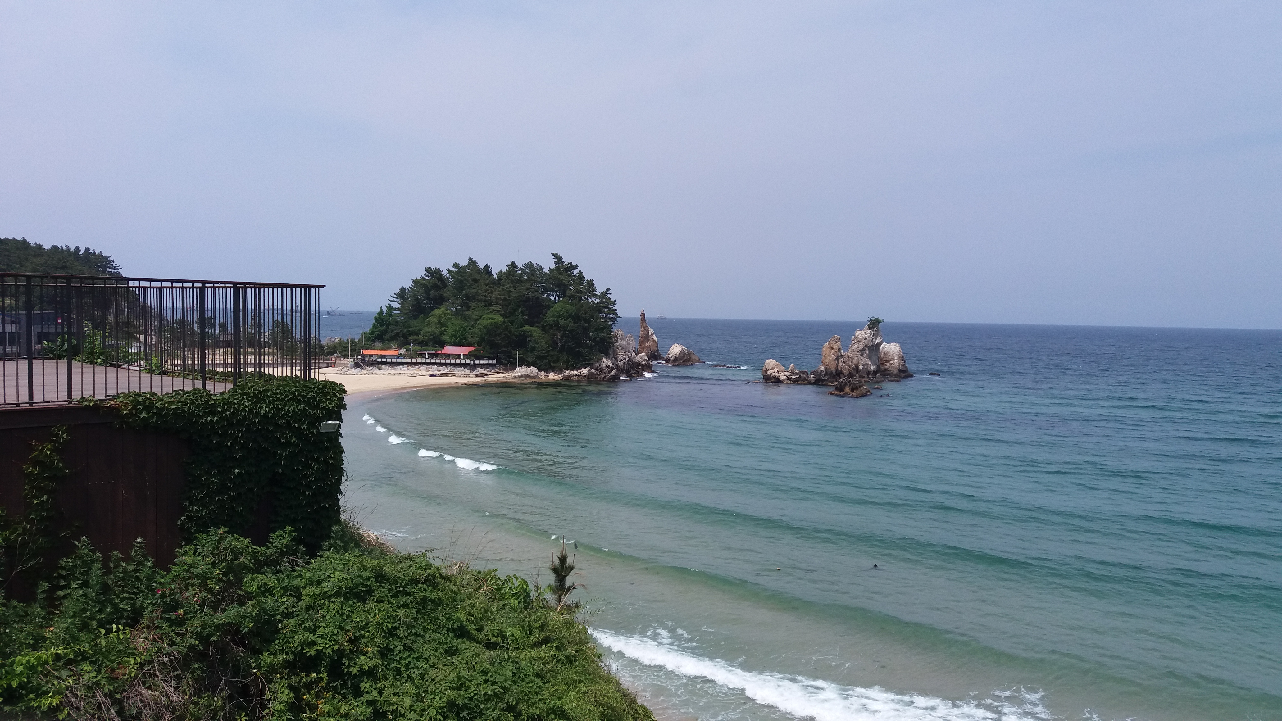 산림청 숲사랑카페
