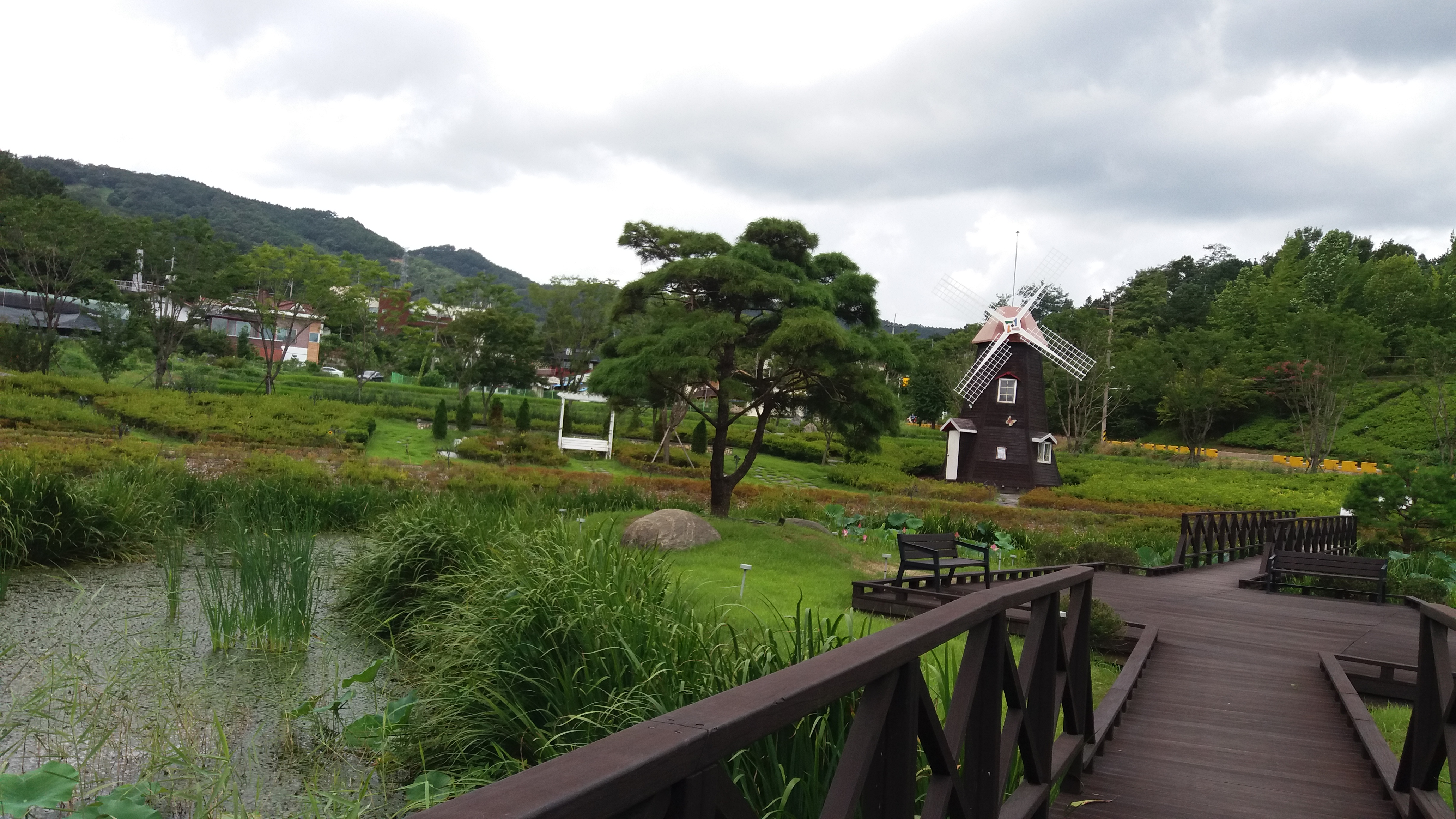 산림청 숲사랑카페