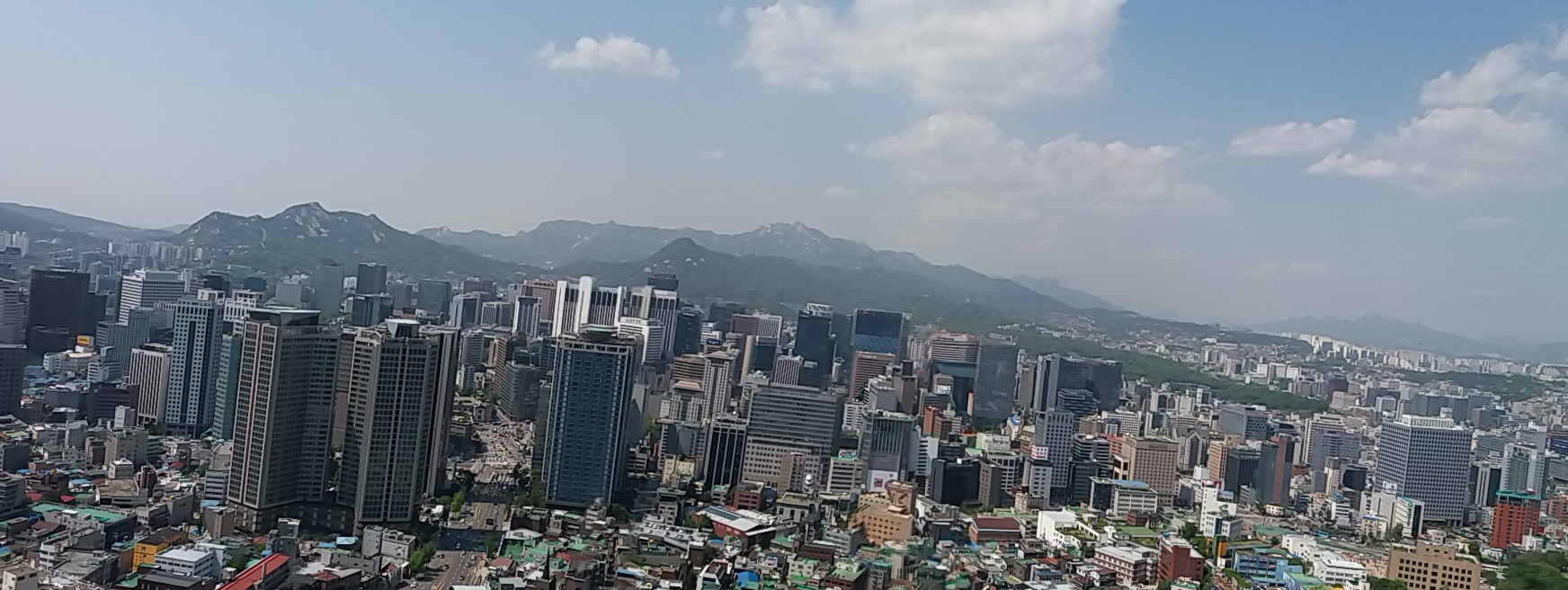 산림청 숲사랑카페